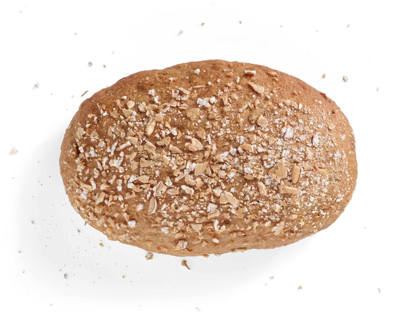 Dinkel-Vollkorn Weckle, freigestellt von oben