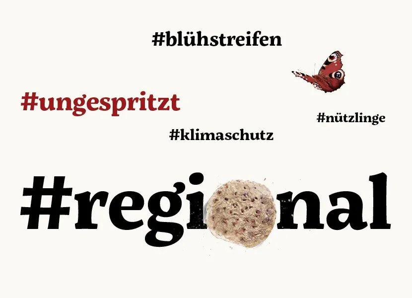 Waldspaziergang