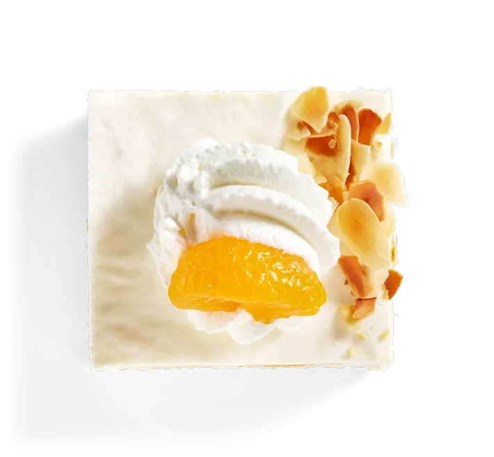 Joghurt-Sahneschnitte mit Mandarine, freigestellt von oben
