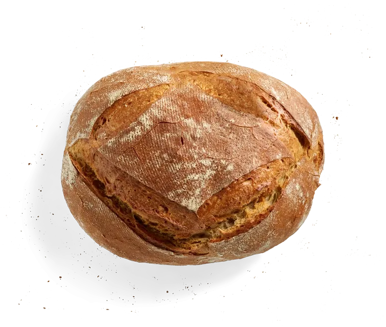 Maurer-Laib, freigestellt von oben